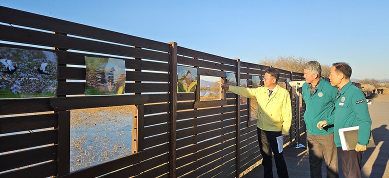 철새 도래 한창인 주남저수지,  경남...