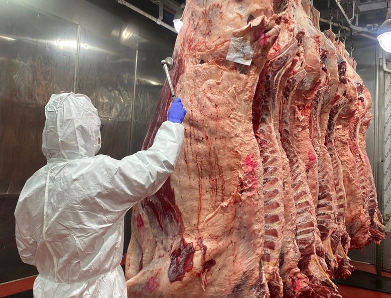 대전시 설 명절 대비 소·돼지 도축검...