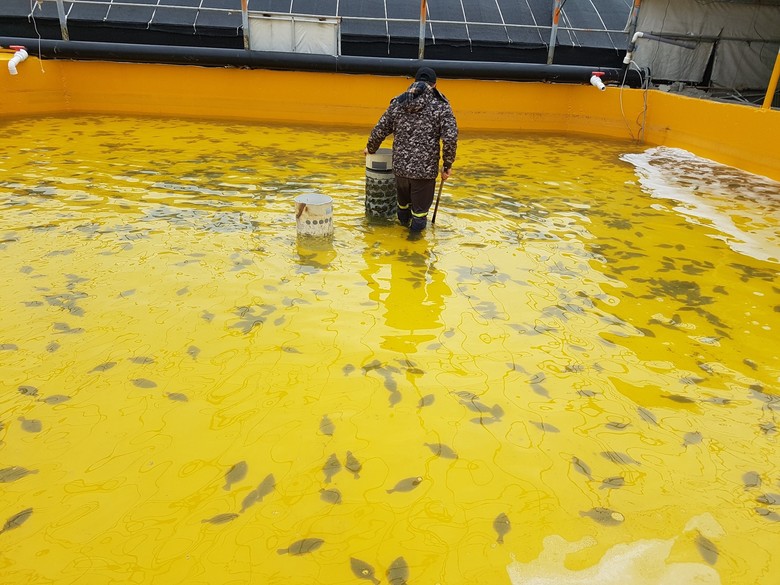 전남해수원, 2026 양식어가 배합사...