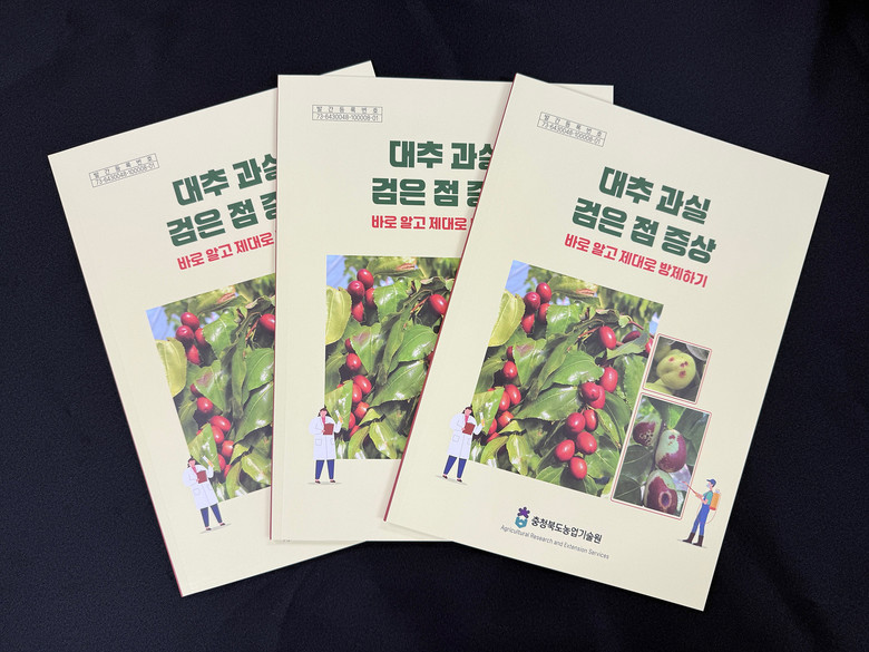 충북농기원, 대추 과실 ‘검은 점’ ...