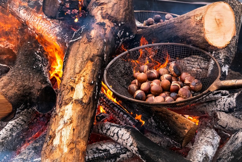 차가운 계절, 충남서 뜨겁게 보낸다!